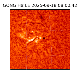 gong - 2025-09-18T08:00:42