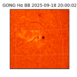 gong - 2025-09-18T20:00:02