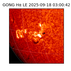 gong - 2025-09-18T03:00:42