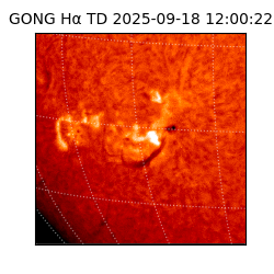 gong - 2025-09-18T12:00:22