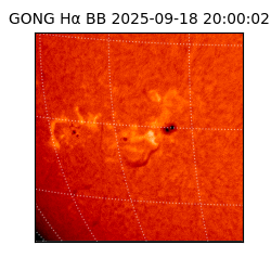 gong - 2025-09-18T20:00:02