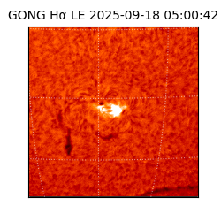 gong - 2025-09-18T05:00:42