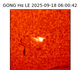 gong - 2025-09-18T06:00:42