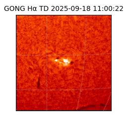 gong - 2025-09-18T11:00:22