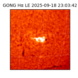 gong - 2025-09-18T23:03:42