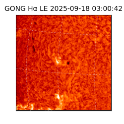 gong - 2025-09-18T03:00:42
