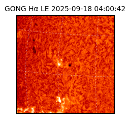 gong - 2025-09-18T04:00:42