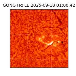 gong - 2025-09-18T01:00:42