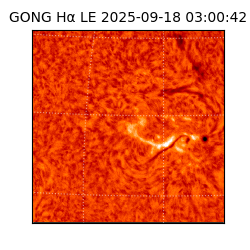 gong - 2025-09-18T03:00:42