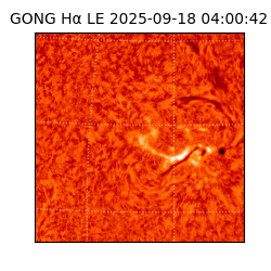 gong - 2025-09-18T04:00:42