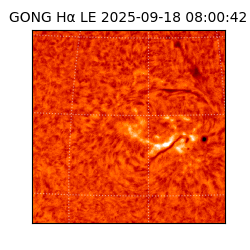 gong - 2025-09-18T08:00:42