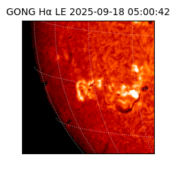 gong - 2025-09-18T05:00:42