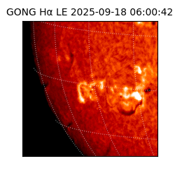 gong - 2025-09-18T06:00:42