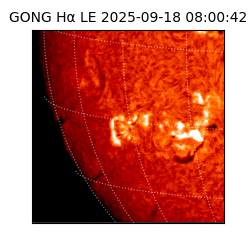 gong - 2025-09-18T08:00:42