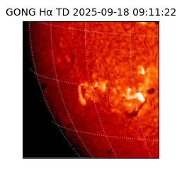 gong - 2025-09-18T09:11:22