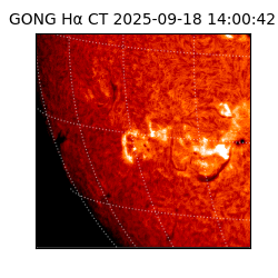 gong - 2025-09-18T14:00:42