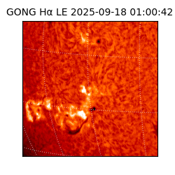 gong - 2025-09-18T01:00:42