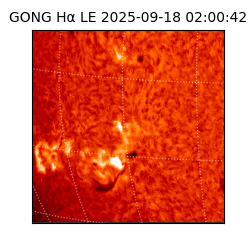 gong - 2025-09-18T02:00:42