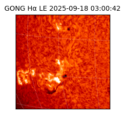 gong - 2025-09-18T03:00:42