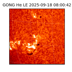 gong - 2025-09-18T08:00:42