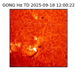 gong - 2025-09-18T12:00:22