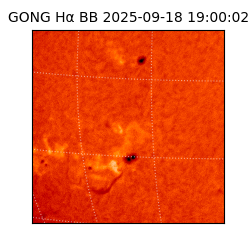 gong - 2025-09-18T19:00:02