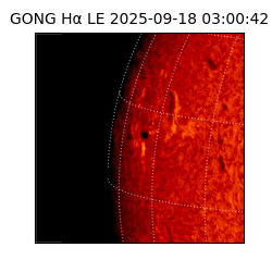 gong - 2025-09-18T03:00:42