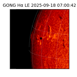 gong - 2025-09-18T07:00:42