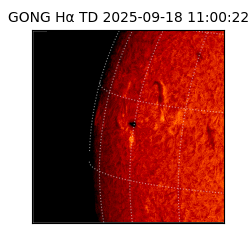gong - 2025-09-18T11:00:22