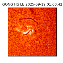 gong - 2025-09-19T01:00:42