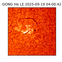 gong - 2025-09-19T04:00:42