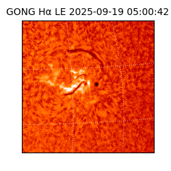 gong - 2025-09-19T05:00:42