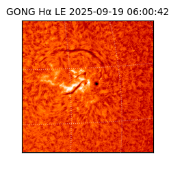 gong - 2025-09-19T06:00:42