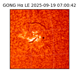 gong - 2025-09-19T07:00:42