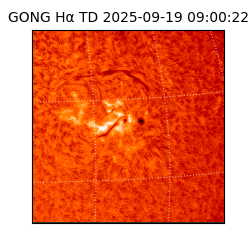 gong - 2025-09-19T09:00:22