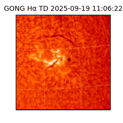 gong - 2025-09-19T11:06:22