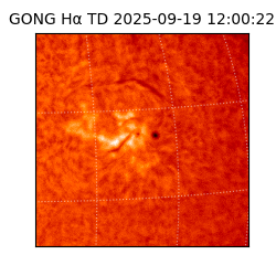 gong - 2025-09-19T12:00:22