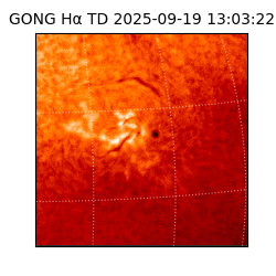 gong - 2025-09-19T13:03:22