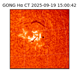gong - 2025-09-19T15:00:42