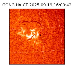 gong - 2025-09-19T16:00:42