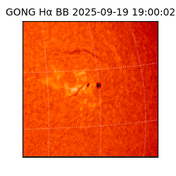 gong - 2025-09-19T19:00:02