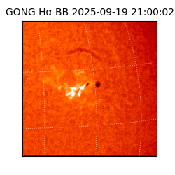 gong - 2025-09-19T21:00:02