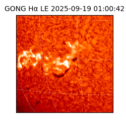 gong - 2025-09-19T01:00:42