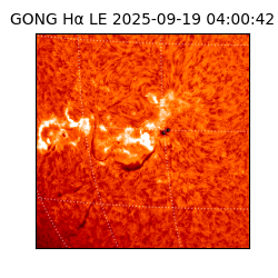 gong - 2025-09-19T04:00:42