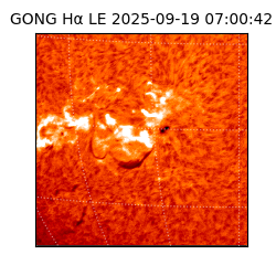 gong - 2025-09-19T07:00:42