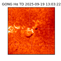 gong - 2025-09-19T13:03:22