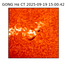 gong - 2025-09-19T15:00:42