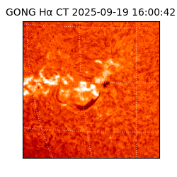 gong - 2025-09-19T16:00:42