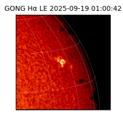 gong - 2025-09-19T01:00:42