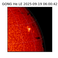 gong - 2025-09-19T06:00:42